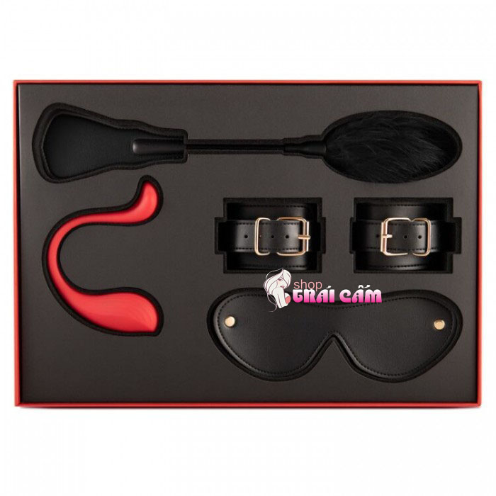 Đồ chơi tình dục